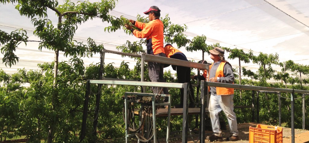 Agri Labour Workers