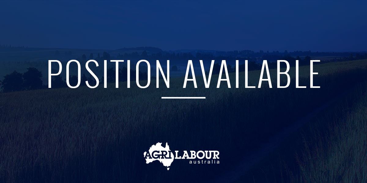 1300 Health qld jobs 1300 Health qld jobs