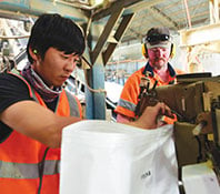 agricultural farm work in tasmania