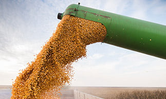 grain being collected by machinery