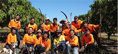group photo of queensland farm workers