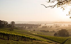 new south wales farm