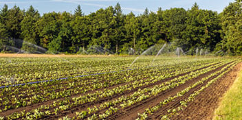 tasmania farmland