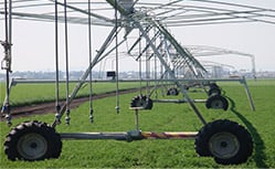 queensland farming crops