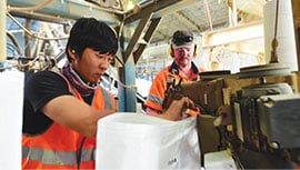 farm workers doing processing