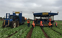 Australia's leading agriculture recruitment specialists labour hire seasonal workers tractor operators