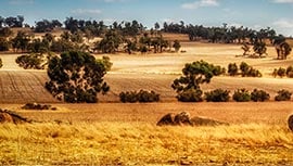 western australia agricultural land