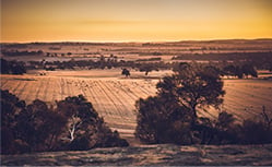 western australia farm