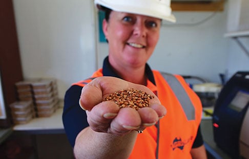 agriculture worker holding grains