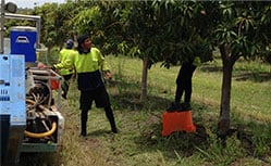 Australia's leading agriculture recruitment specialists labour hire seasonal workers