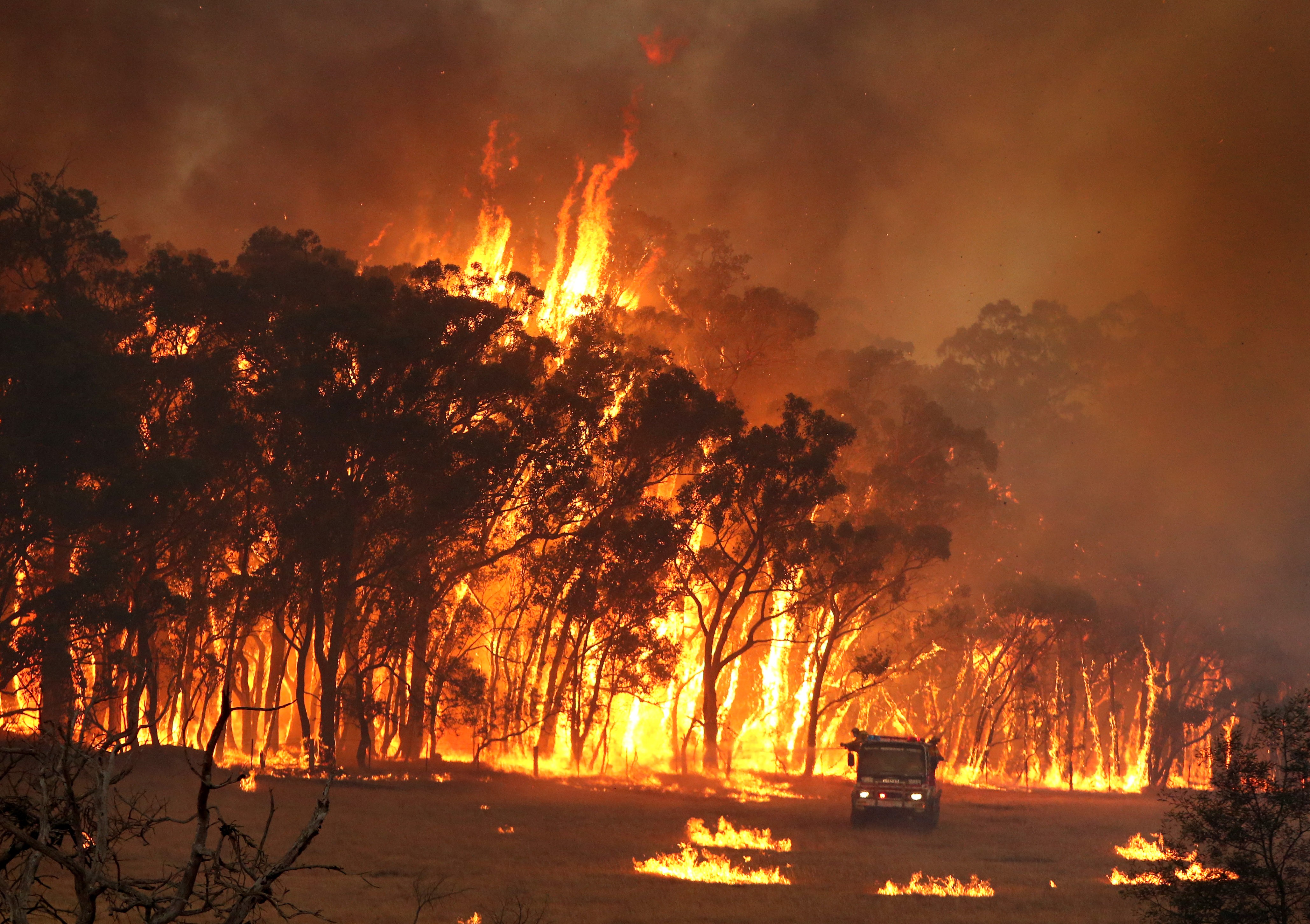 From Drought to Fire – The &#39;Knock On&#39; Effect of Major Environmental Events  - Agri Labour Australia