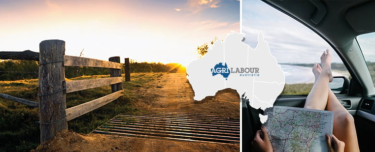 Australia's leading agriculture recruitment specialists labour hire seasonal workers