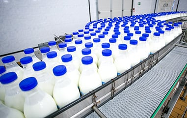 farm jobs in dairy industry australia