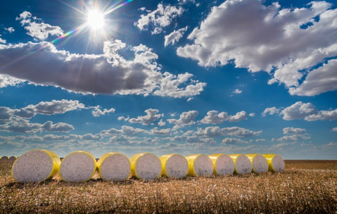 Cotton ginning jobs