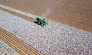 Cotton harvest jobs