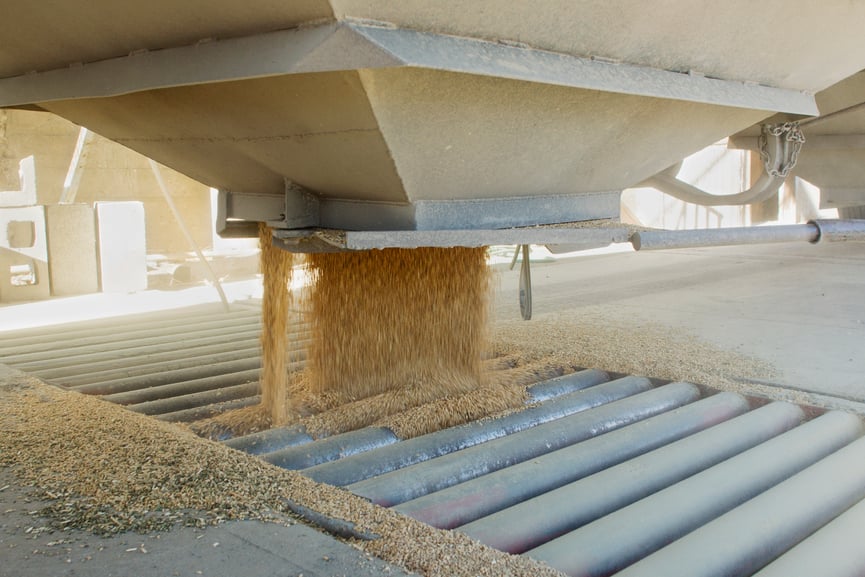 unloading grain