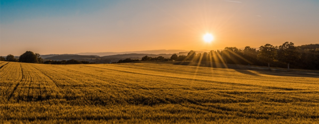 farm sunrise