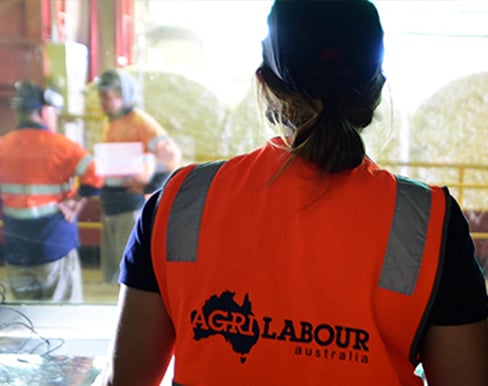 AgriLabour-Australia-factory-labour-hire