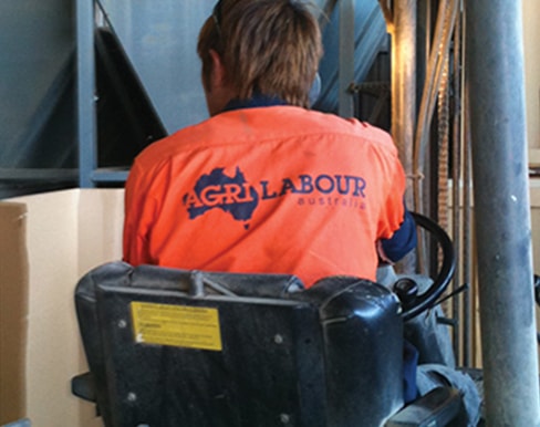 AgriLabour-Australia-forklift-labour-hire