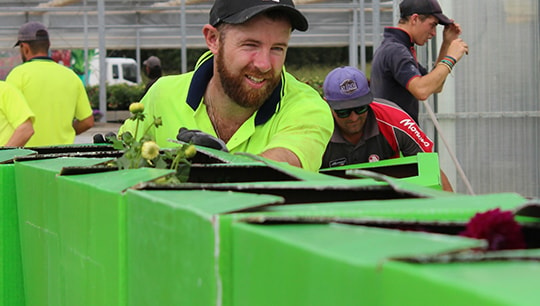 AgriLabour-Australia-factory-labour-hire