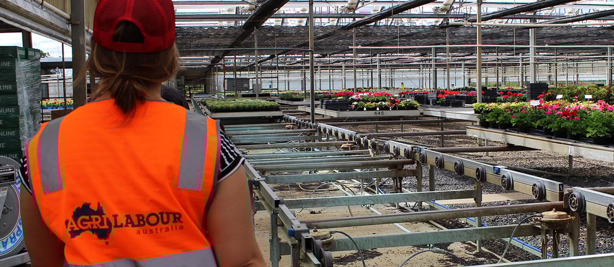 AgriLabour-Australia-factory-labour-hire