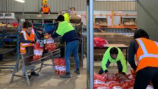 AgriLabour-Australia-factory-labour-hire