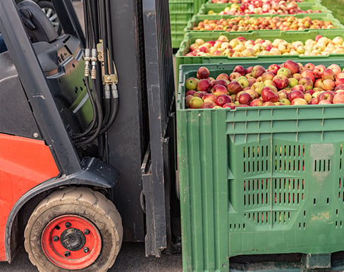 AgriLabour-Australia-forklift-labour-hire