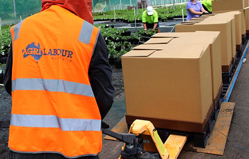 AgriLabour-Australia-forklift-labour-hire