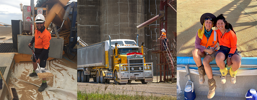 grain harvest workers