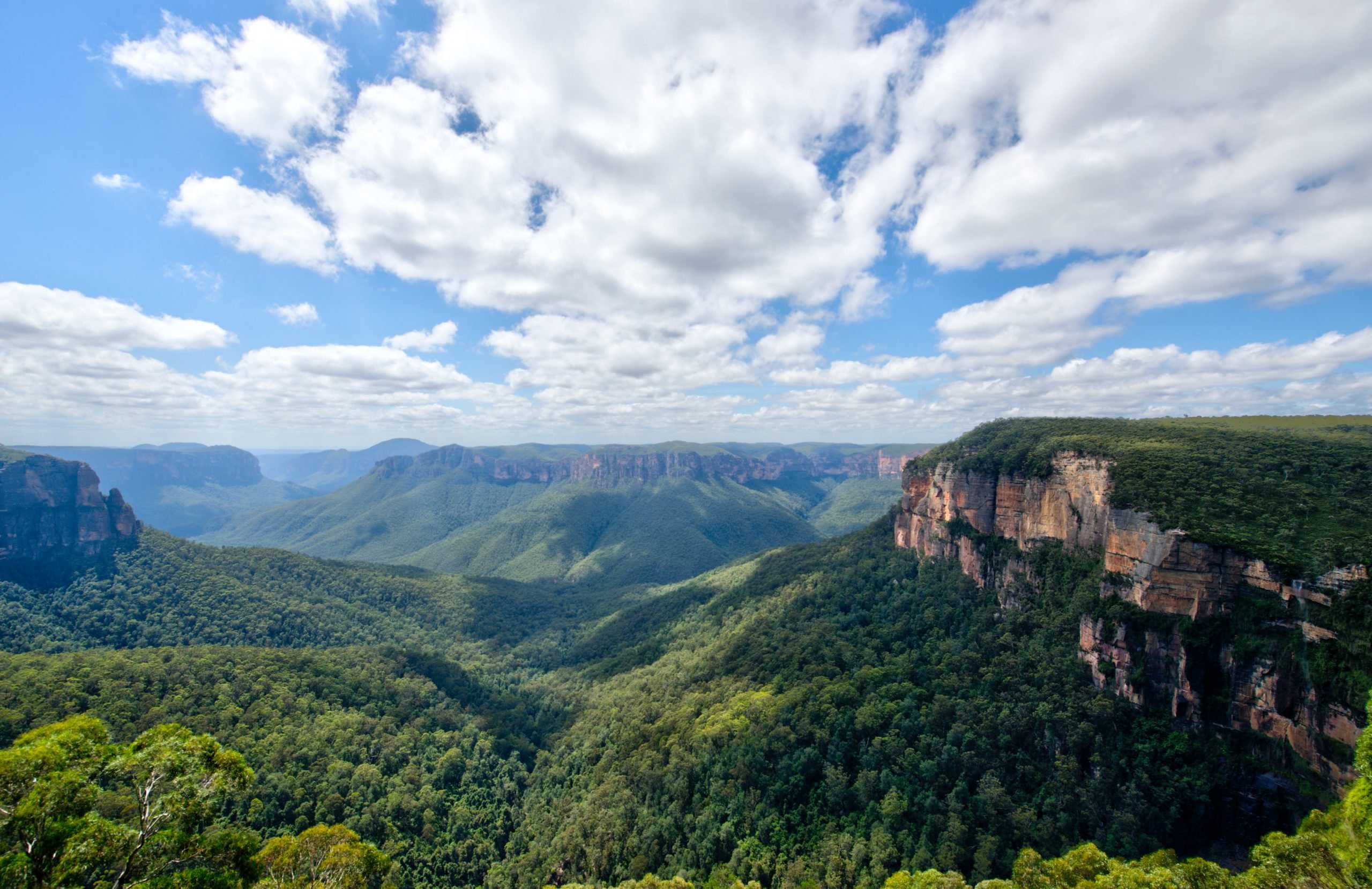 Blue Mountains