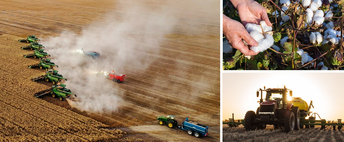 Seasonal farm roles Australia