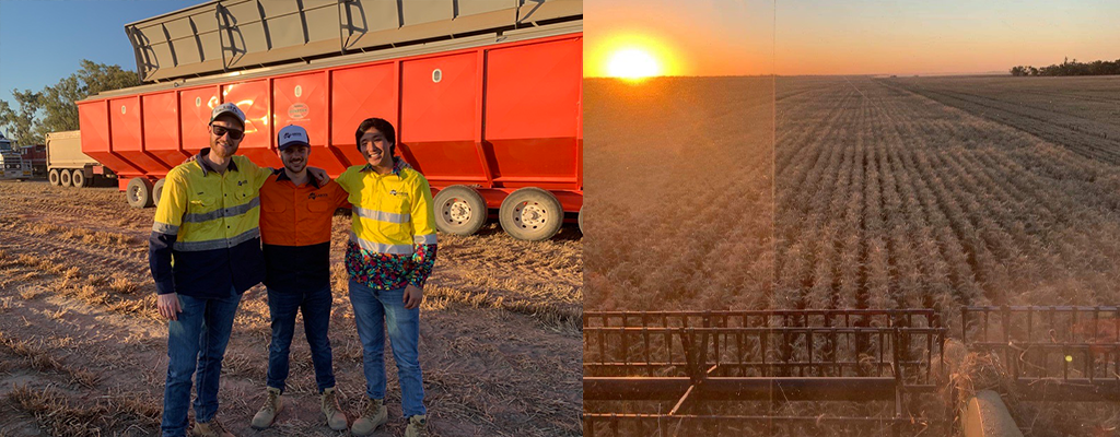 Grain harvest australia's best agriculture workers