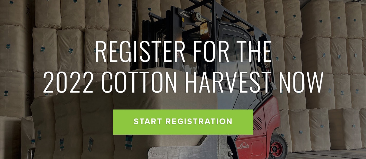 Cotton Harvest Australia Cotton Industry Recruitment Agri Labour
