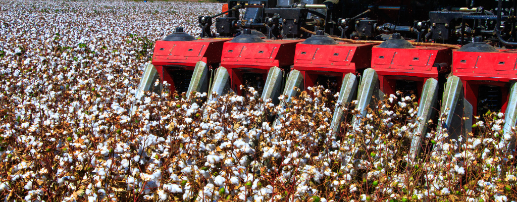 Staying safe during the cotton harvest season