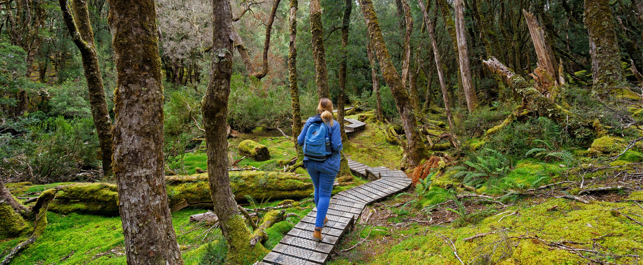 Hit the trails and hike through Australia’s natural wonders