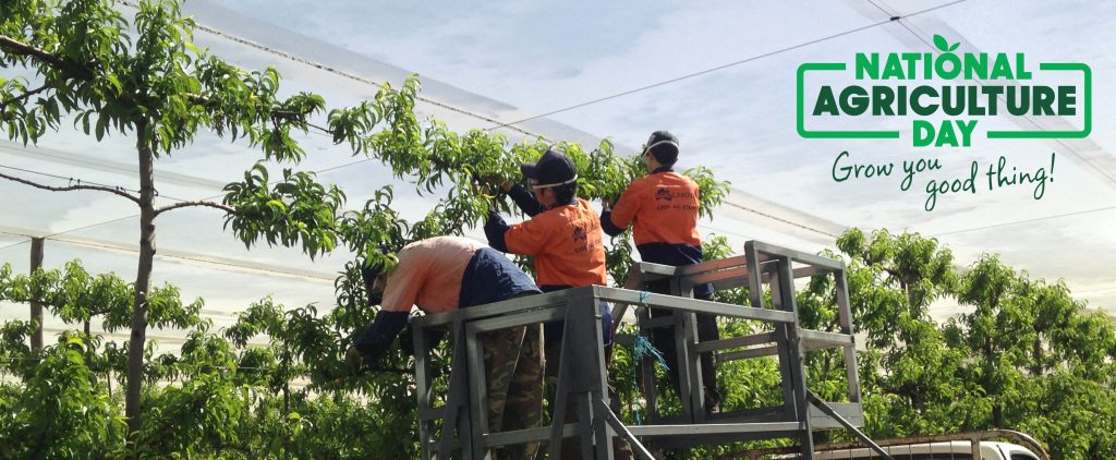 This Ag Day, we stand with the land and those who grow our future