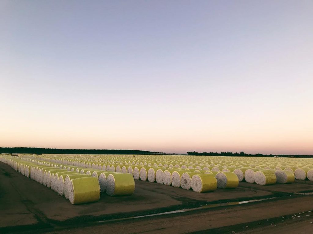 Large-Scale Cotton Ginning Operations Across Multiple Sites