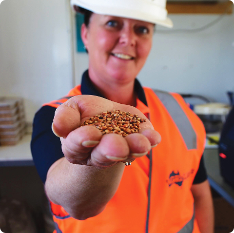 BROADACRE workforce services