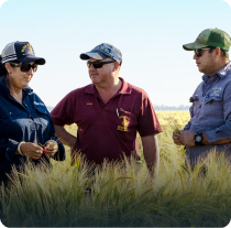 Optimise your workforce