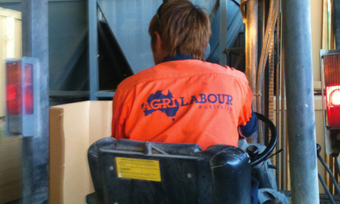 Programs that deliver safe, skilled workforces