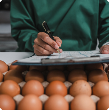 Egg testing