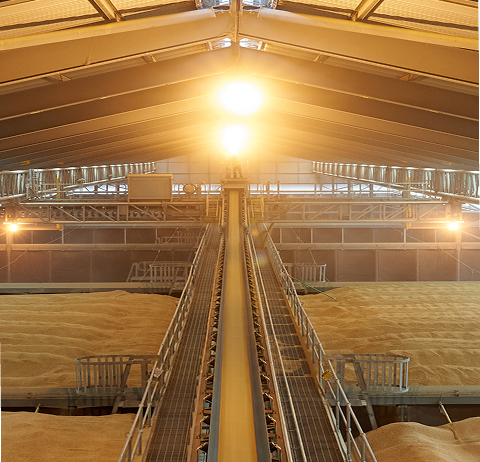 Empty warehouse interior with sunlight and storage space