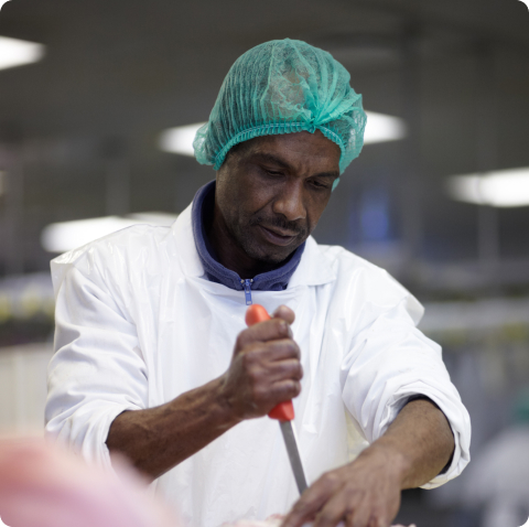 Long-term experience