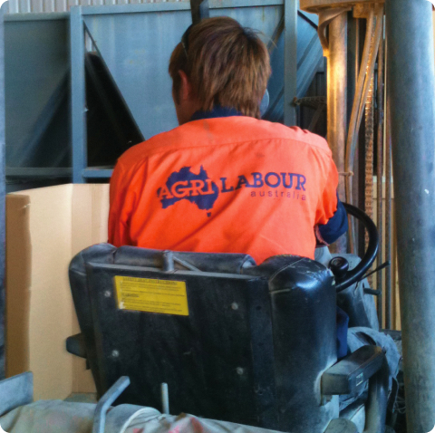 Storage facility workforces