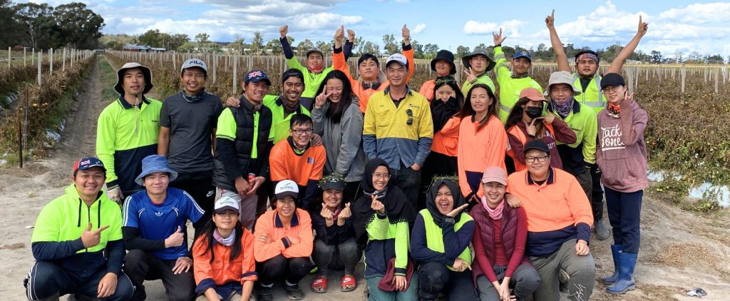 Why diverse teams make agriculture stronger