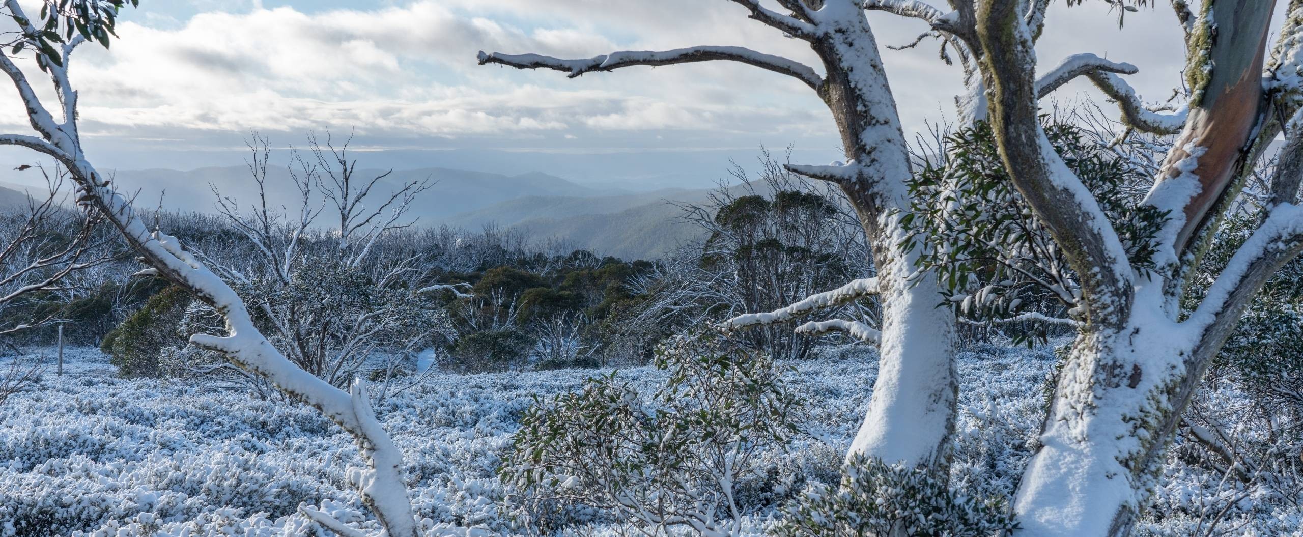 How to make the most of your winter in Australia – Agri Labour Australia