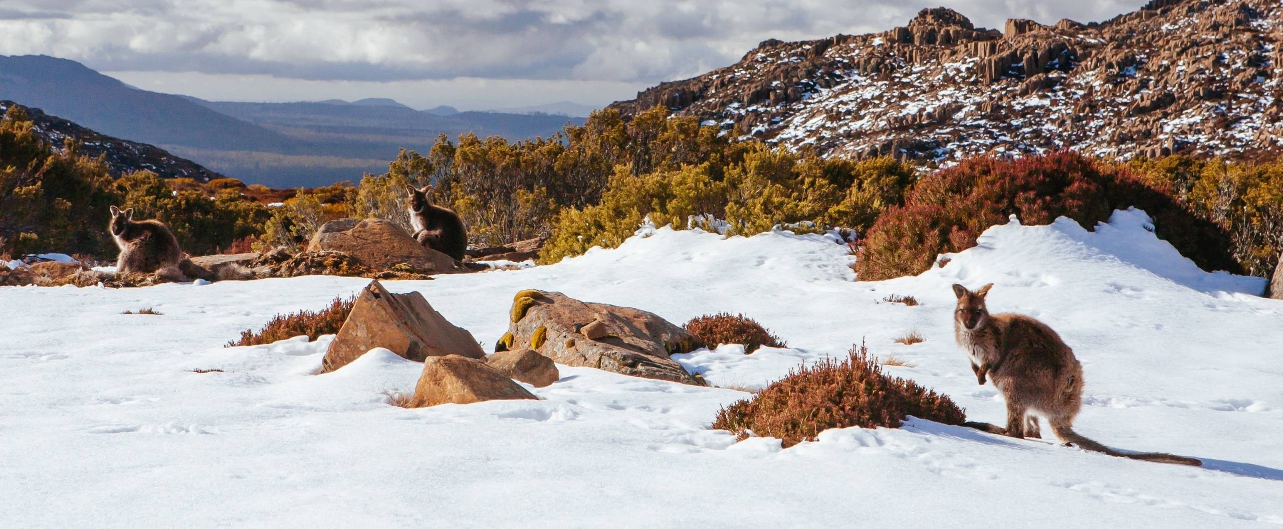 How to make the most of your winter in Australia – Agri Labour Australia